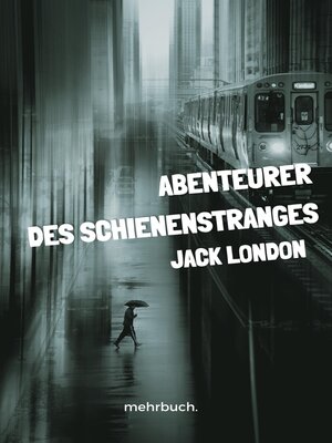 cover image of Abenteurer des Schienenstranges